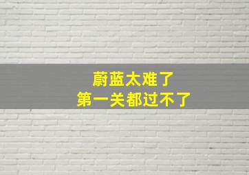 蔚蓝太难了 第一关都过不了